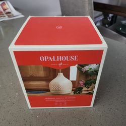 Oil Diffuser