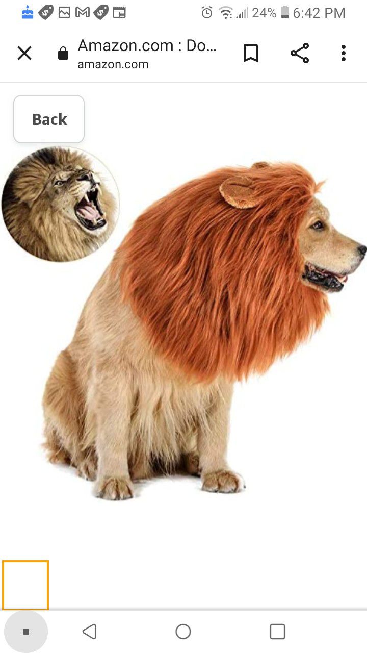 Lion King Dog Pet Costume XL Mane