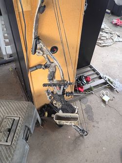 Cross and compound bow