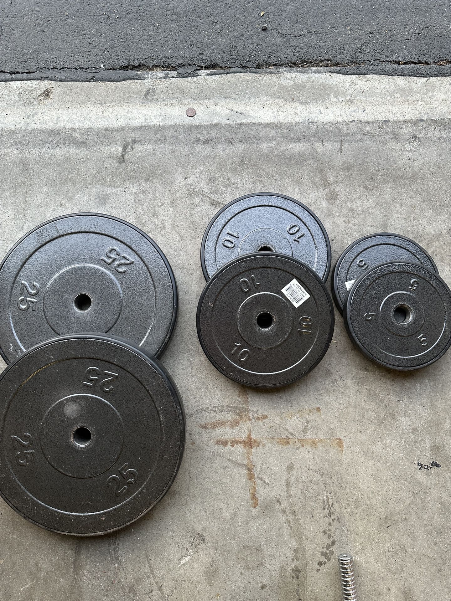 Curl Bar With Weights 80 Lb