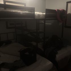 Bunk Beds