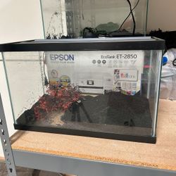 Fish Tank (5 Gallon)