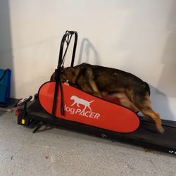 dogPACER LF 3.1 Treadmill – Great Condition