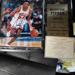 Scottie Pippen 