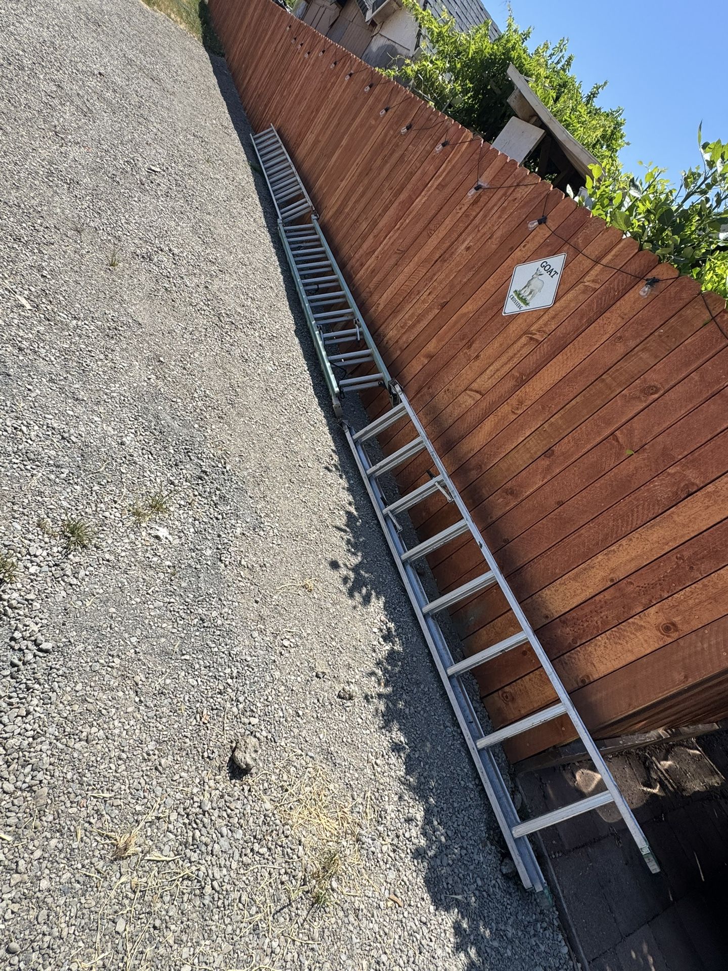 Ladders
