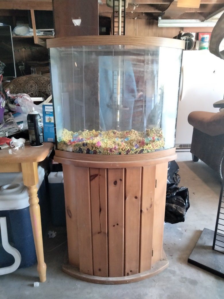 40 Gallon Fish Tank