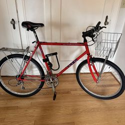 90’s Mtn Bike For Sale - Great Condition