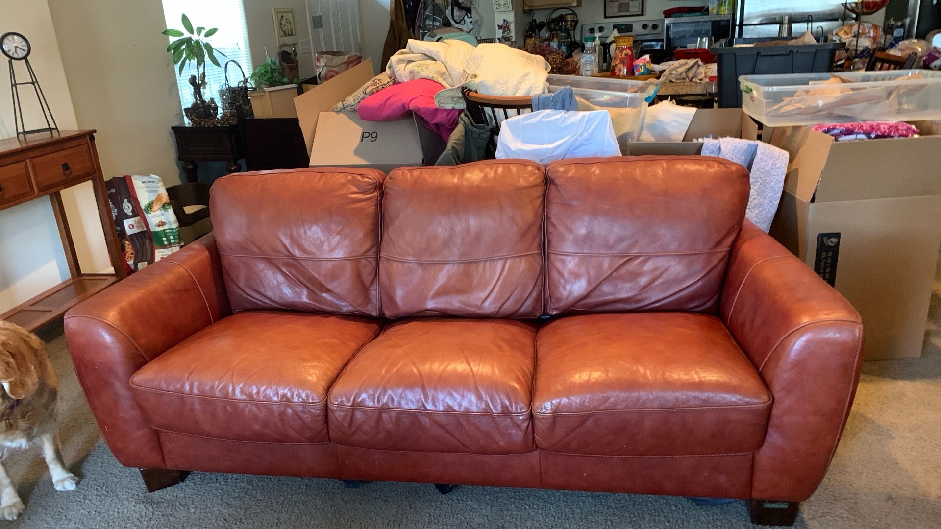 Italian Leather Couch