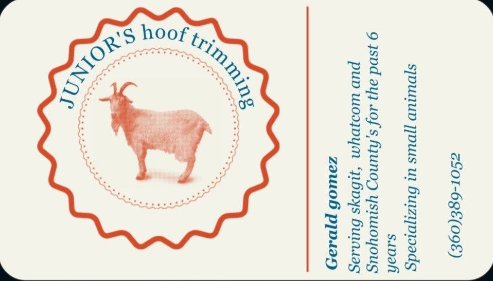 Hoof Trimming