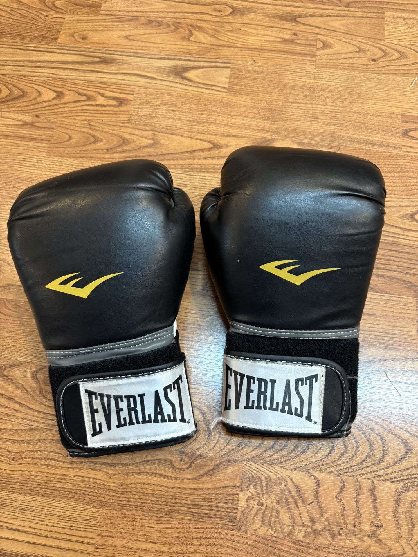Everlast Boxing Gloves