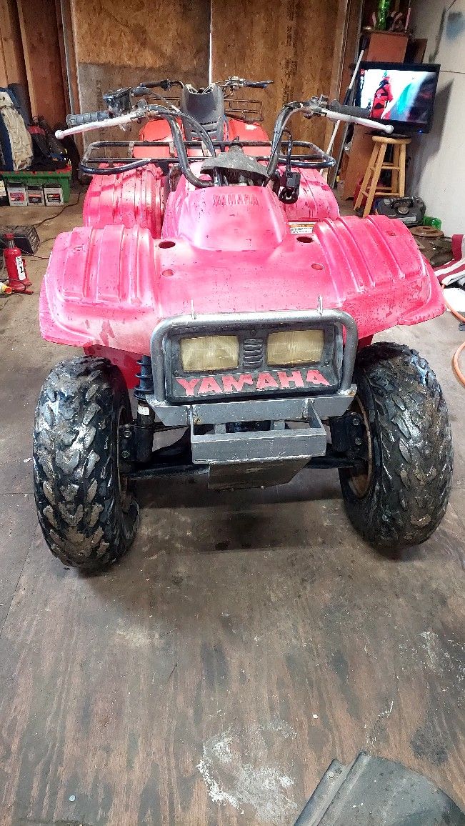 2000 Yamaha Bear Tracker 250 for Sale in Mcclure, PA OfferUp