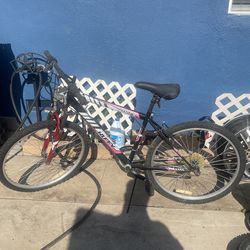 Alpine Huffy