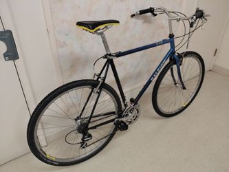 *Tall Rider Special* 90s Raleigh C-40 City/Trail Cruiser - 23" (Large)