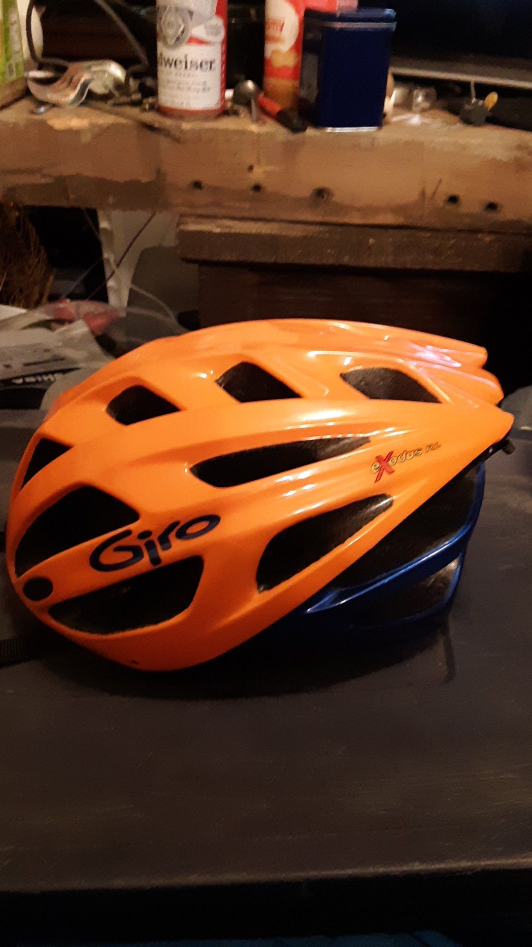 Giro Exodus RL Bike Helmet