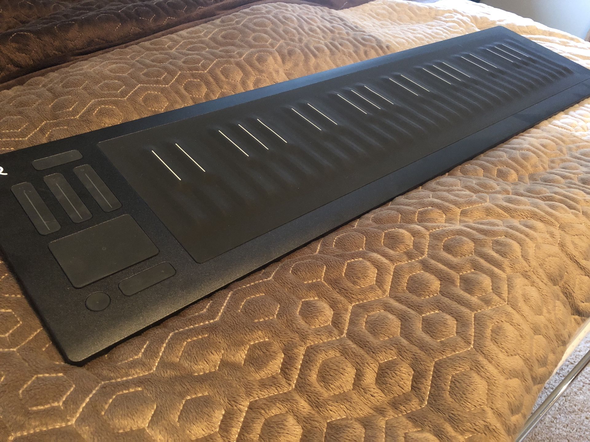 Seaboard RISE 49