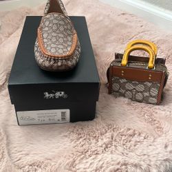 Shoes And Mini Purse 