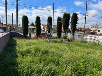 Yard clean up I can get it done let me know