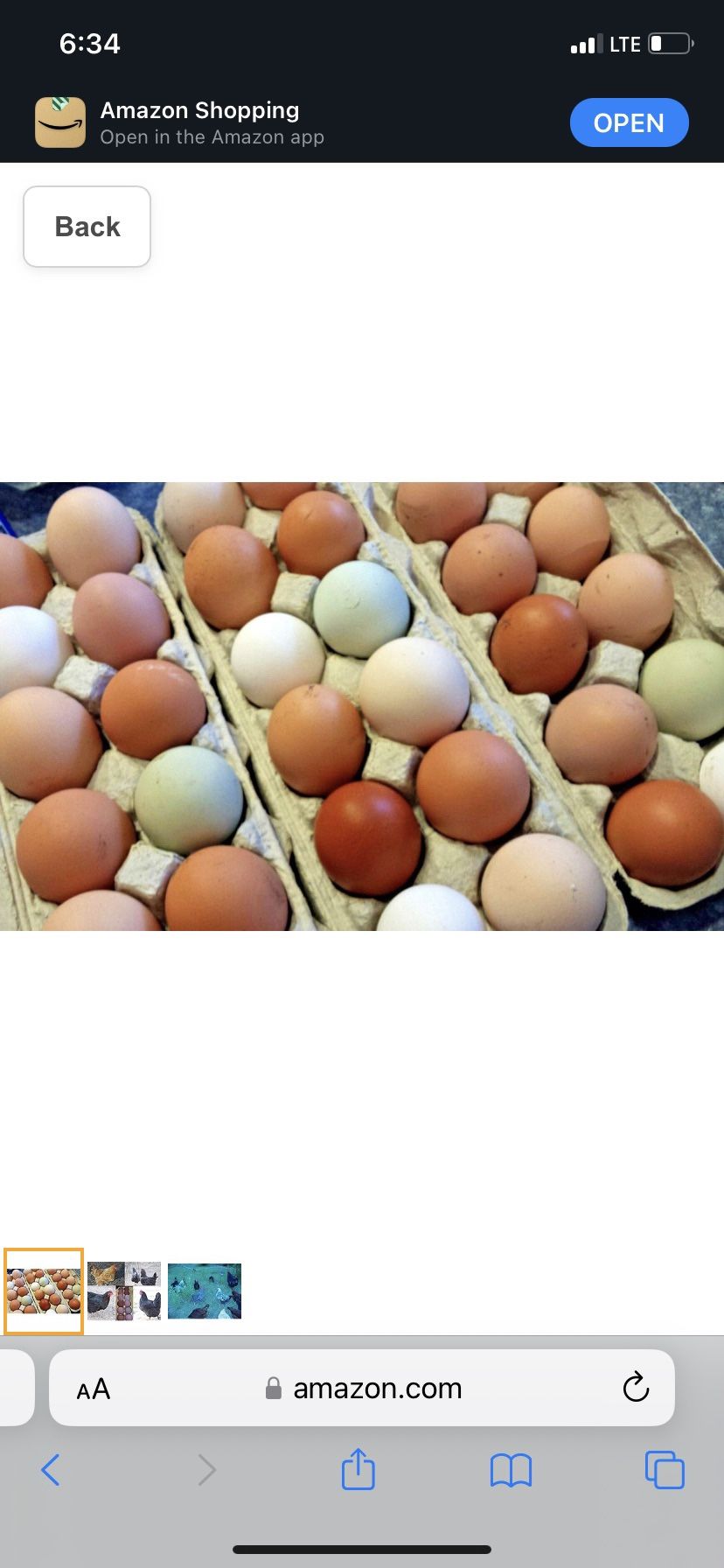 Free range Chicken Eggs