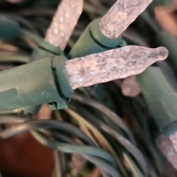 50 Feet-- Outdoor/Indoor Fancy Mini Christmas Lights