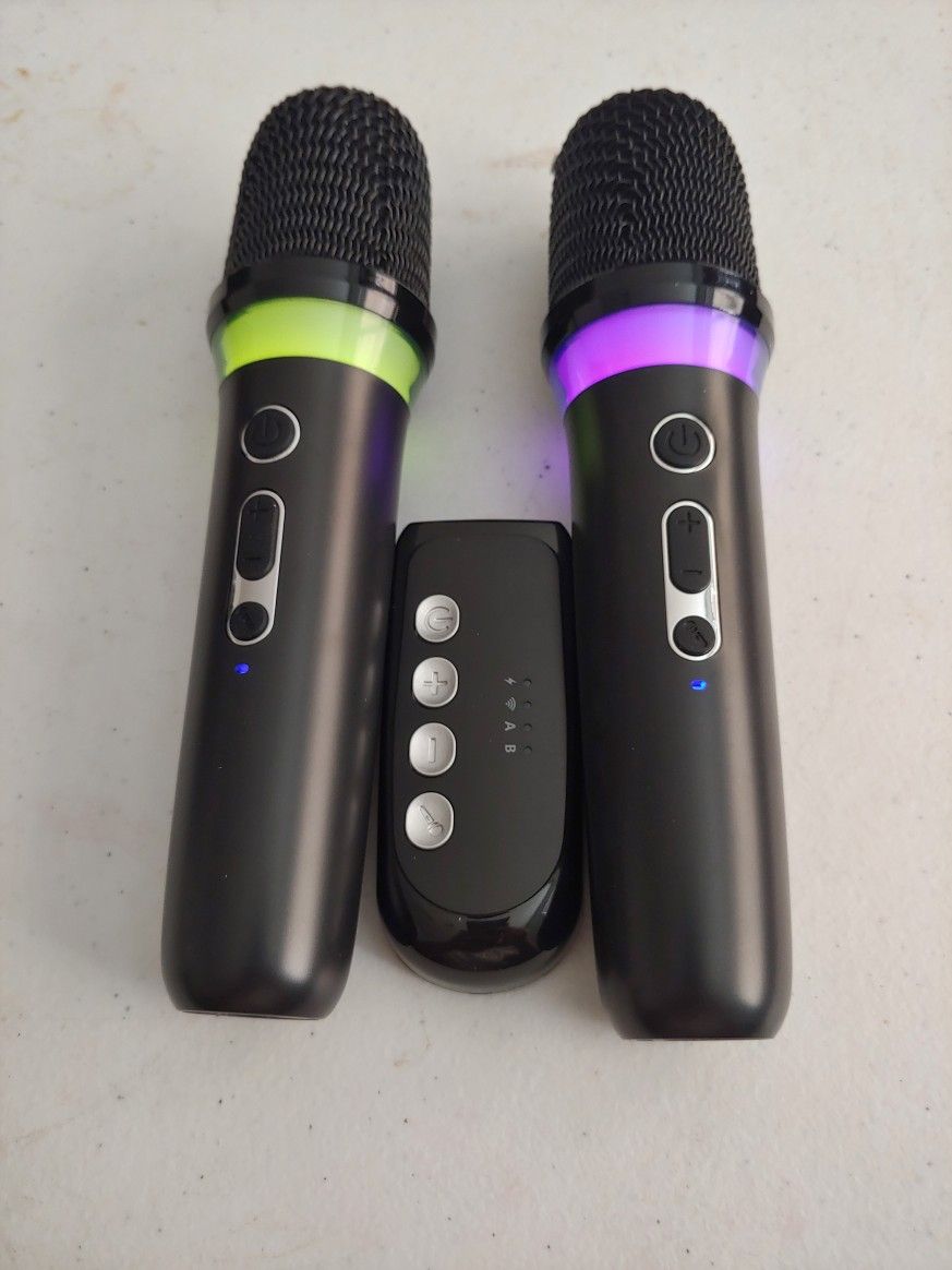 Karaoke Microphone Set