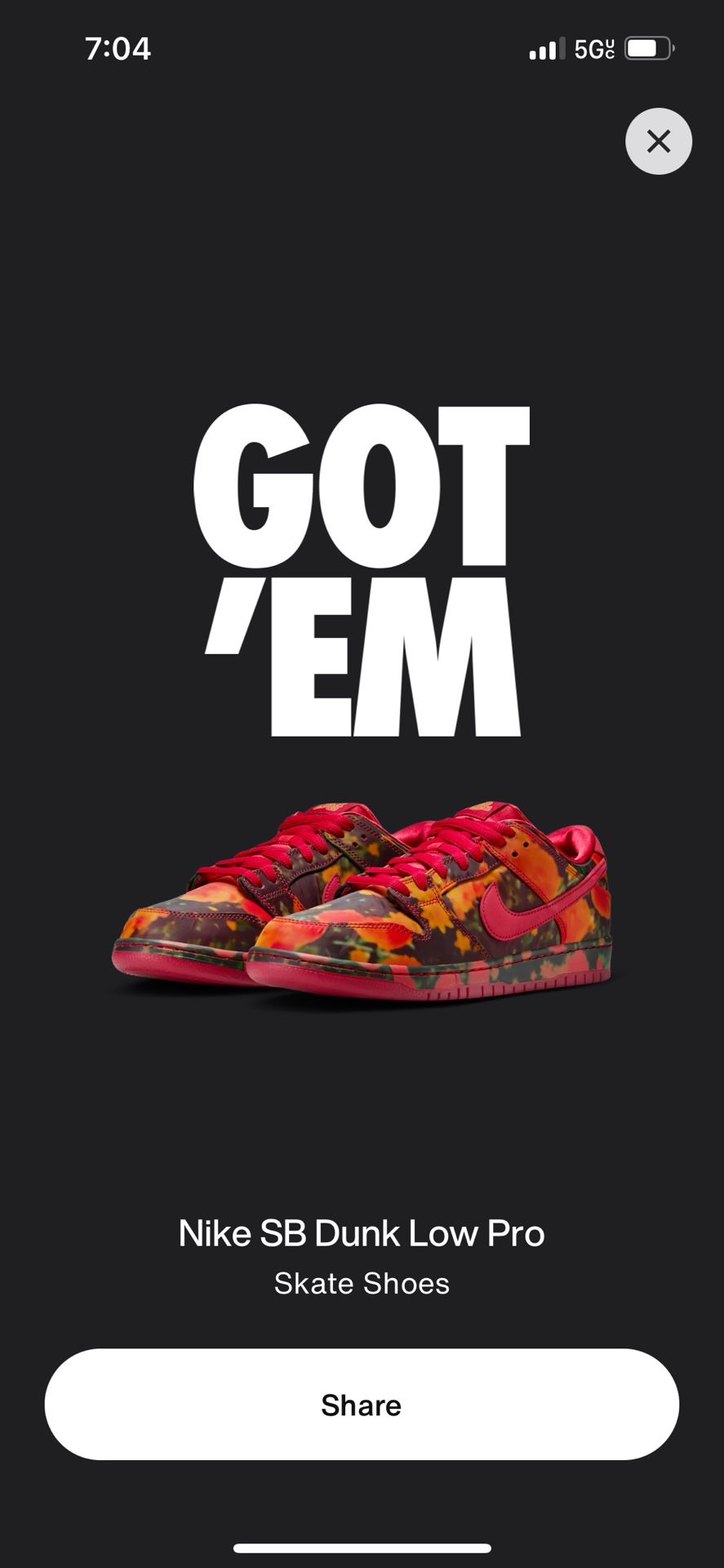 WOO x Nike SB Dunk Low Pro *DS*
