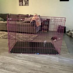 Big Dog Kennel