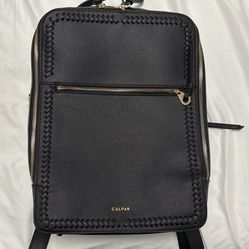 Calpak Laptop Bag