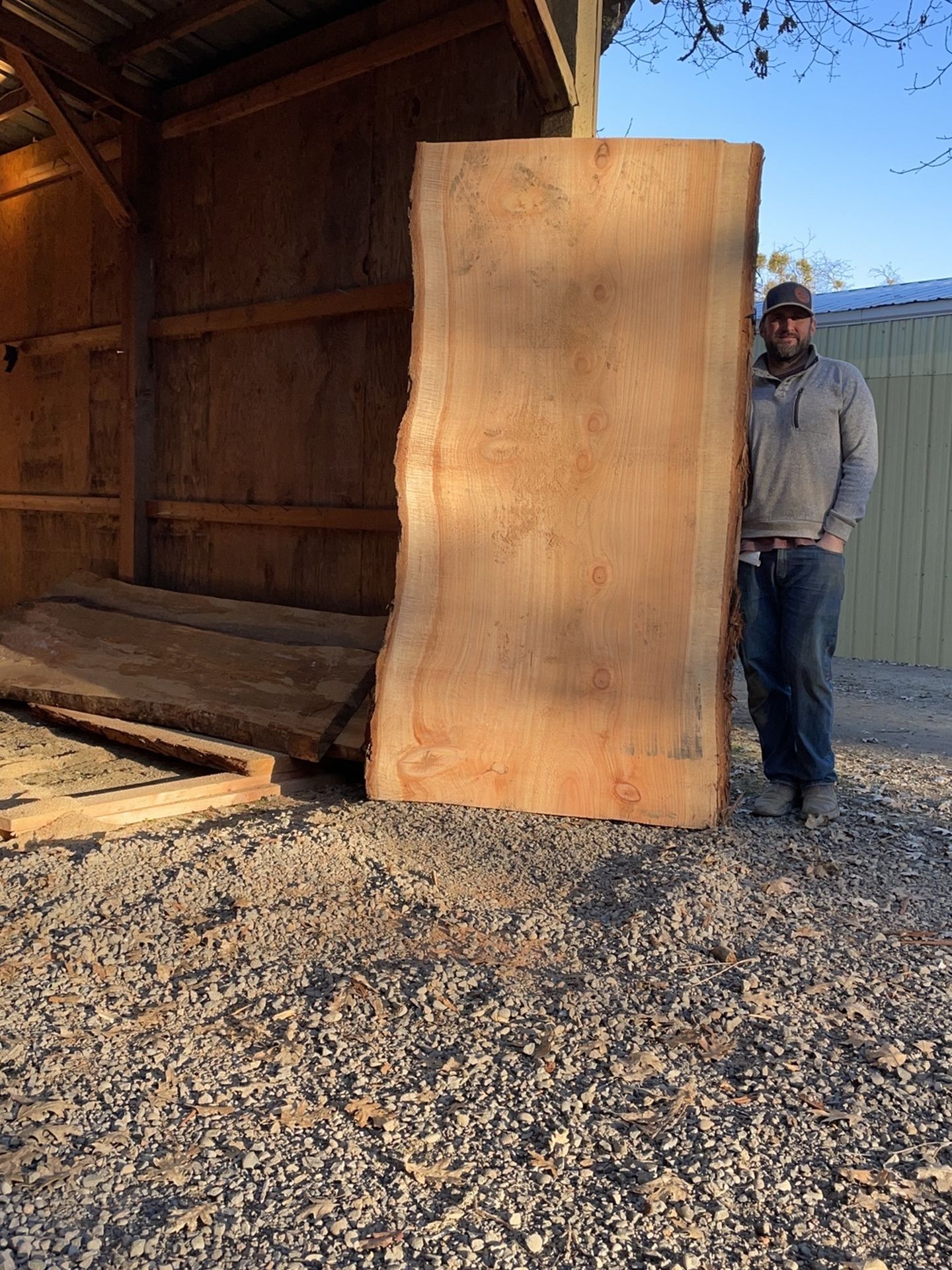 Huge Redwood Live Edge Slab