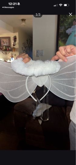 Angel costume