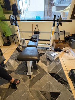 Weight Bench with Barbell and Plates