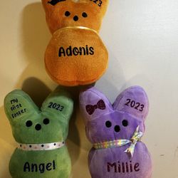 Personalized Plush Bunnies