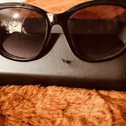 Bose Sunglasses 
