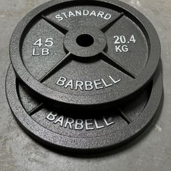 Pair Of 45 Pound Standard Barbell Olympic Weights