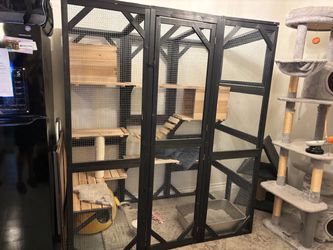 Large Catio