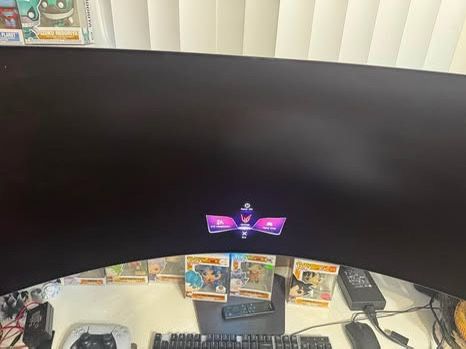 Lg Oled Gaming Monitor 45 Inc