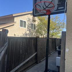 Basketball court