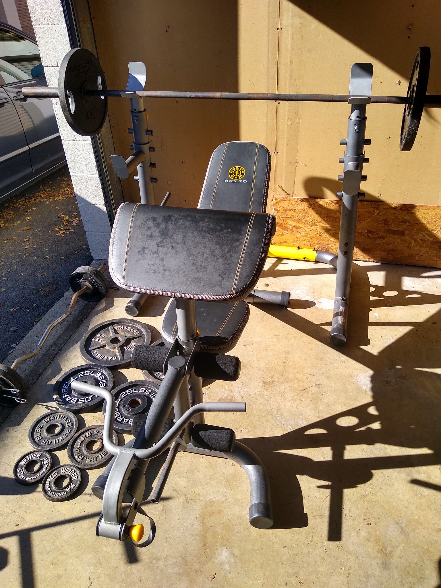 Weight Set (310lbs), Bench (Gold's XRS 20), and Curl Bar