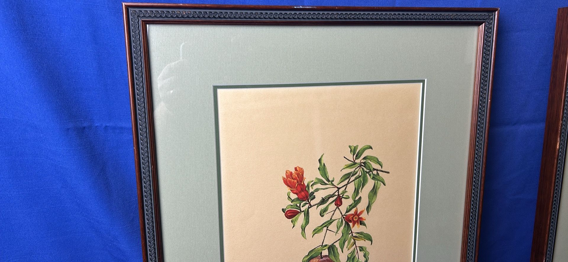 Ross M. Towne Plants Of Shakespeare