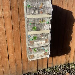 Birds Cage For Sales 