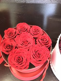 Long lasting preserved Roses