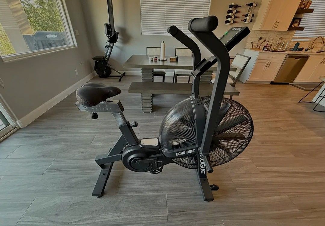 Rogue-bike