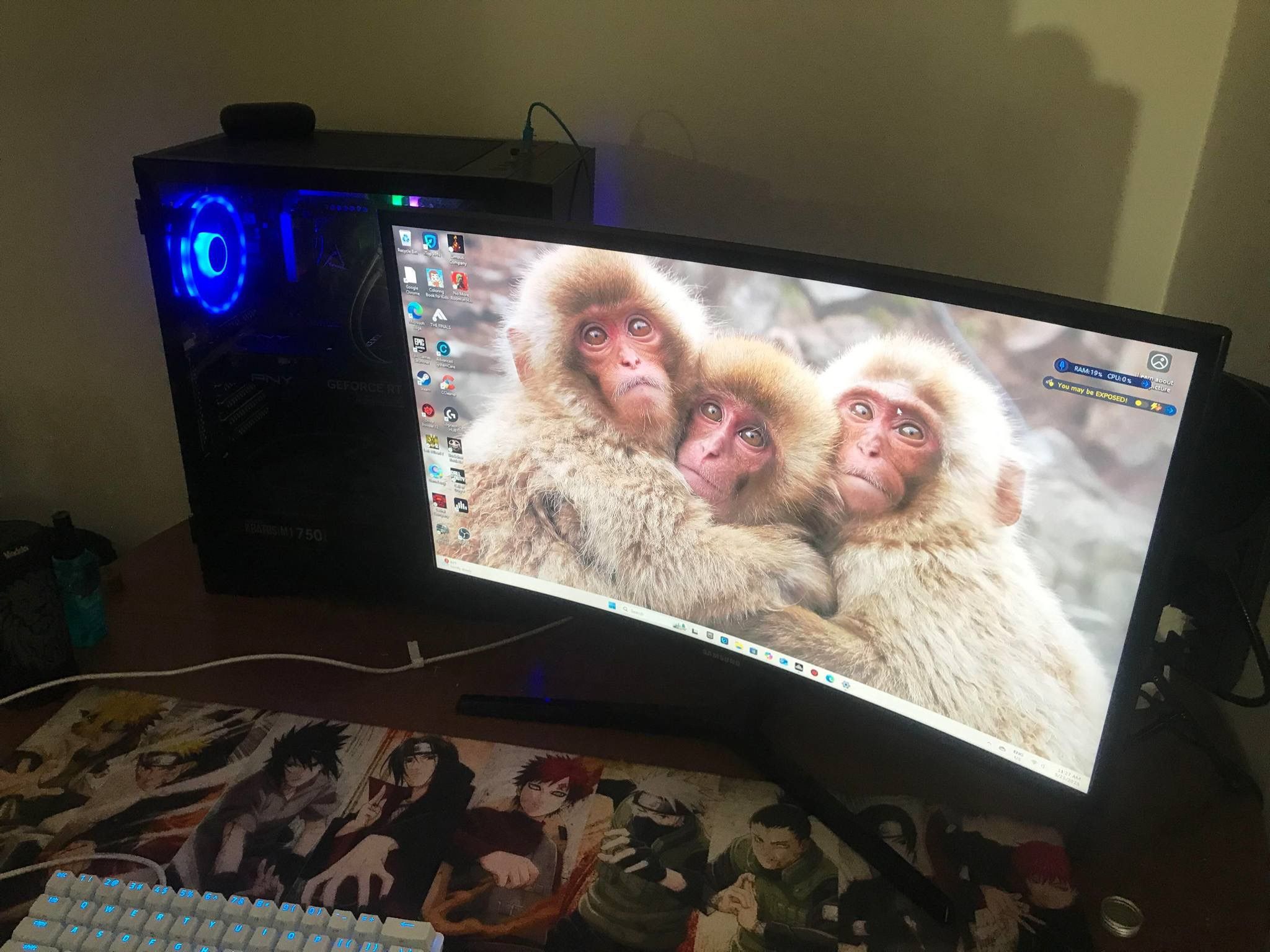 Gaming Monitor