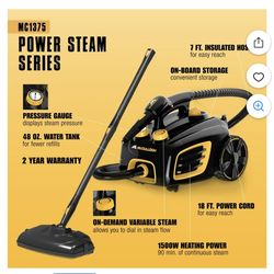 mcculloch canister steamer