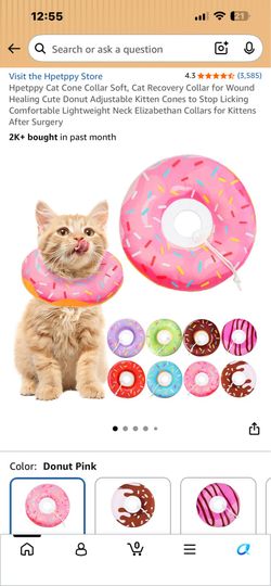 dog & cat recovery collar new