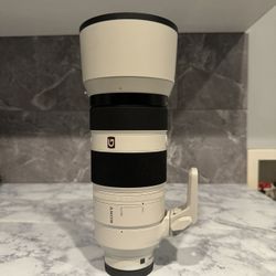 Sony FE 100-400mm F4.5-5.6 GM OSS