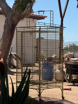 Exotic bird cage