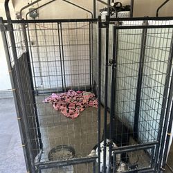 Cage For Sell, XL Cage