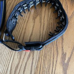 Pull leash for large dog