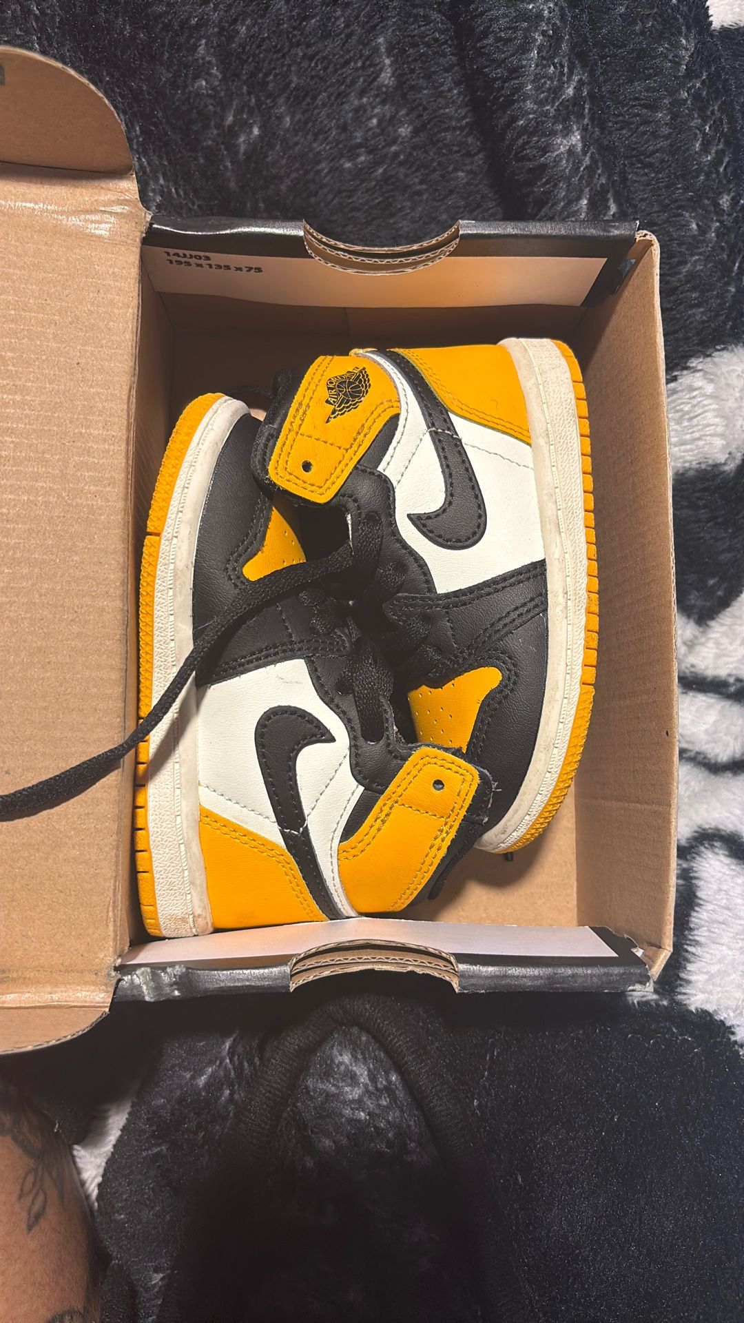 Jordan 1 Retro High OG (TD)