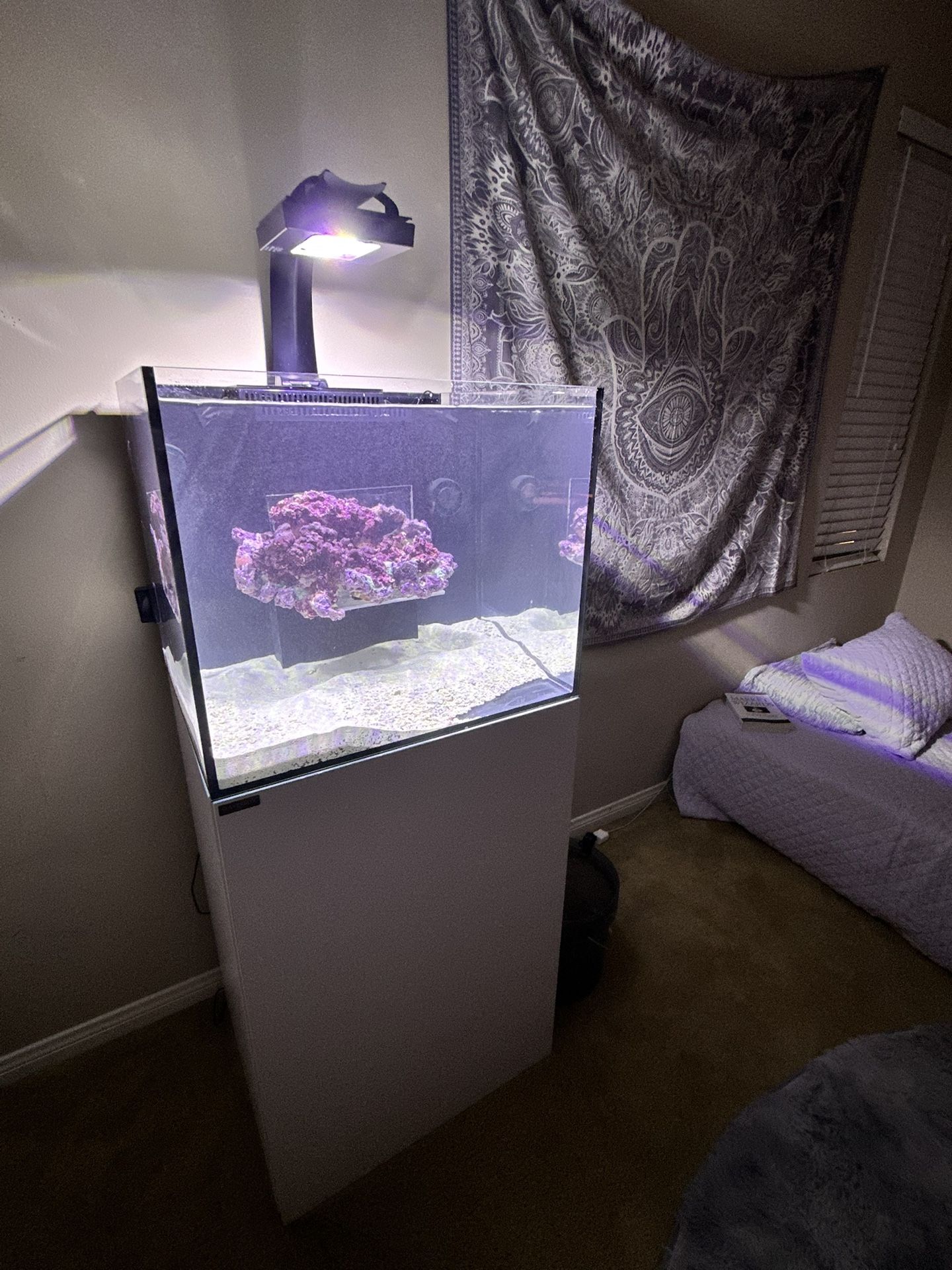 Waterbox 60 Saltwater Tank - includes skimmer, pump, wavemakers, and radion xr15